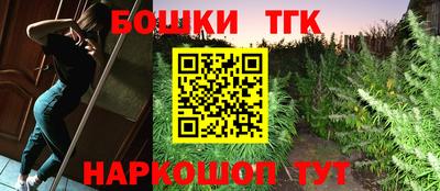 индика Краснознаменск