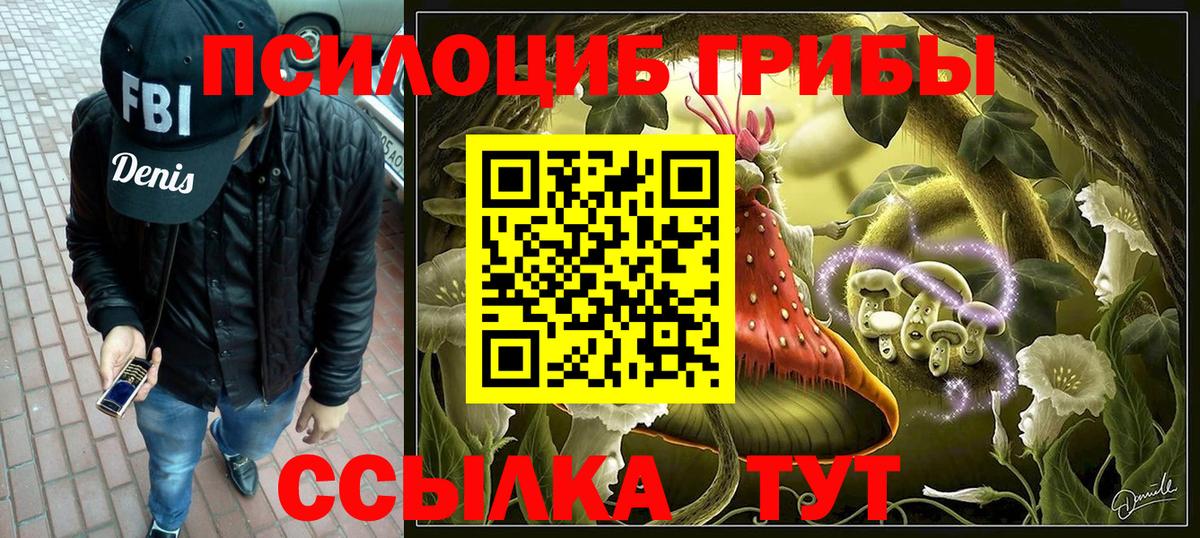 Чистополь  Псилоцибиновые грибы Psilocybine cubensis  Вход с VPN 